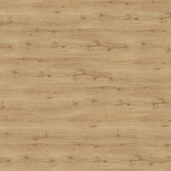 Select-49-Eco-Plus-Eiche-astig-402-gerade-scaled