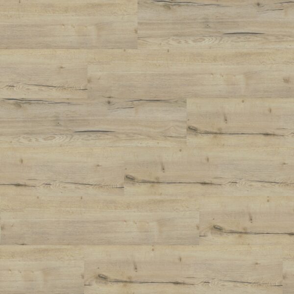 Select-49-Eco-Plus-Sibirische-Taigaeiche-407-gerade-scaled