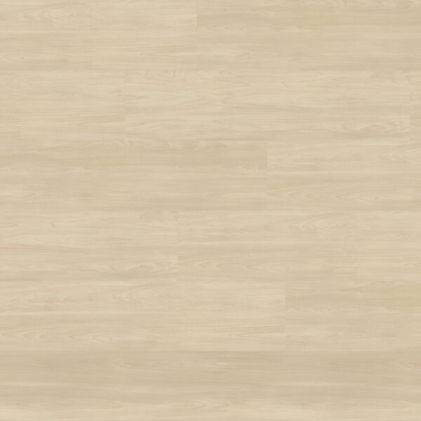 Select-49-Eco-Yorker-Apfel-088-gerade-scaled