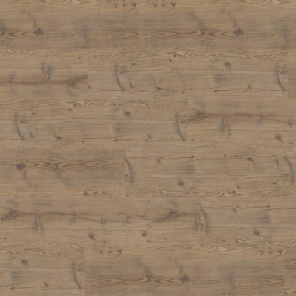Select49-Objekt-Plus-Alte-Laerche-natur-717-gerade-scaled