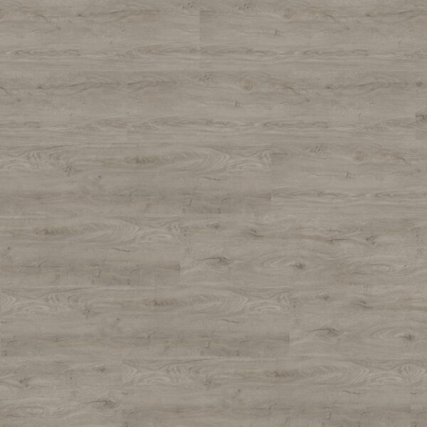 Select49-Objekt-Plus-Laerche-grau-705-gerade-scaled